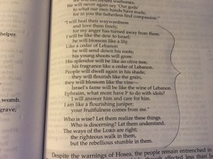 June 19 2016 its time to flourish