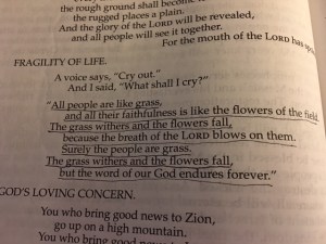 July 12 2016 so fragile