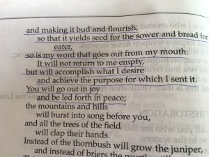 July 18 2016 b rain has a purpose