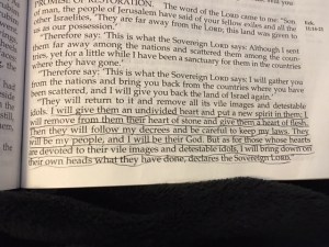 August 16 c 2016 Heart Conditions.