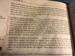 sept 2 2016 a new spirit b