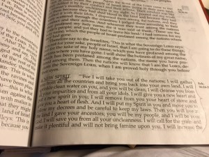 Sept 2 2016 a new spirit - this one