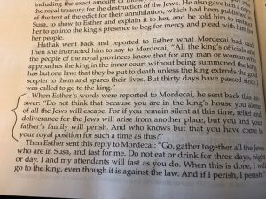 oct-3-2016-now-is-the-time