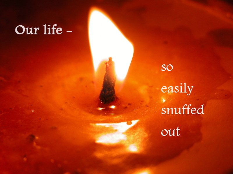 our-life-so-easily-snuffed-out